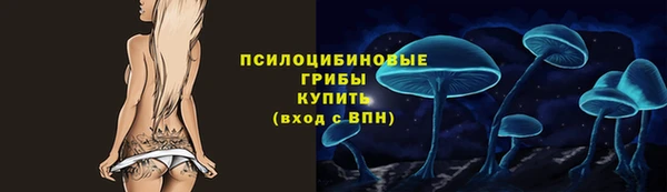 ECSTASY Армянск