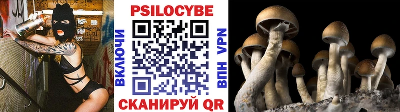 Псилоцибиновые грибы Psilocybe  Солнечногорск 